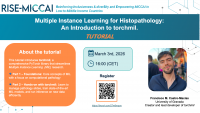 Join the next RISE-MICCAI Tutorial - March 3, 2026